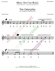 Click to Enlarge: "The Caterpillar" Pitch Number Format