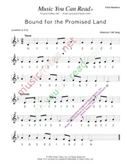 Click to Enlarge: "Bound for the Promised Land," Pitch Number Format